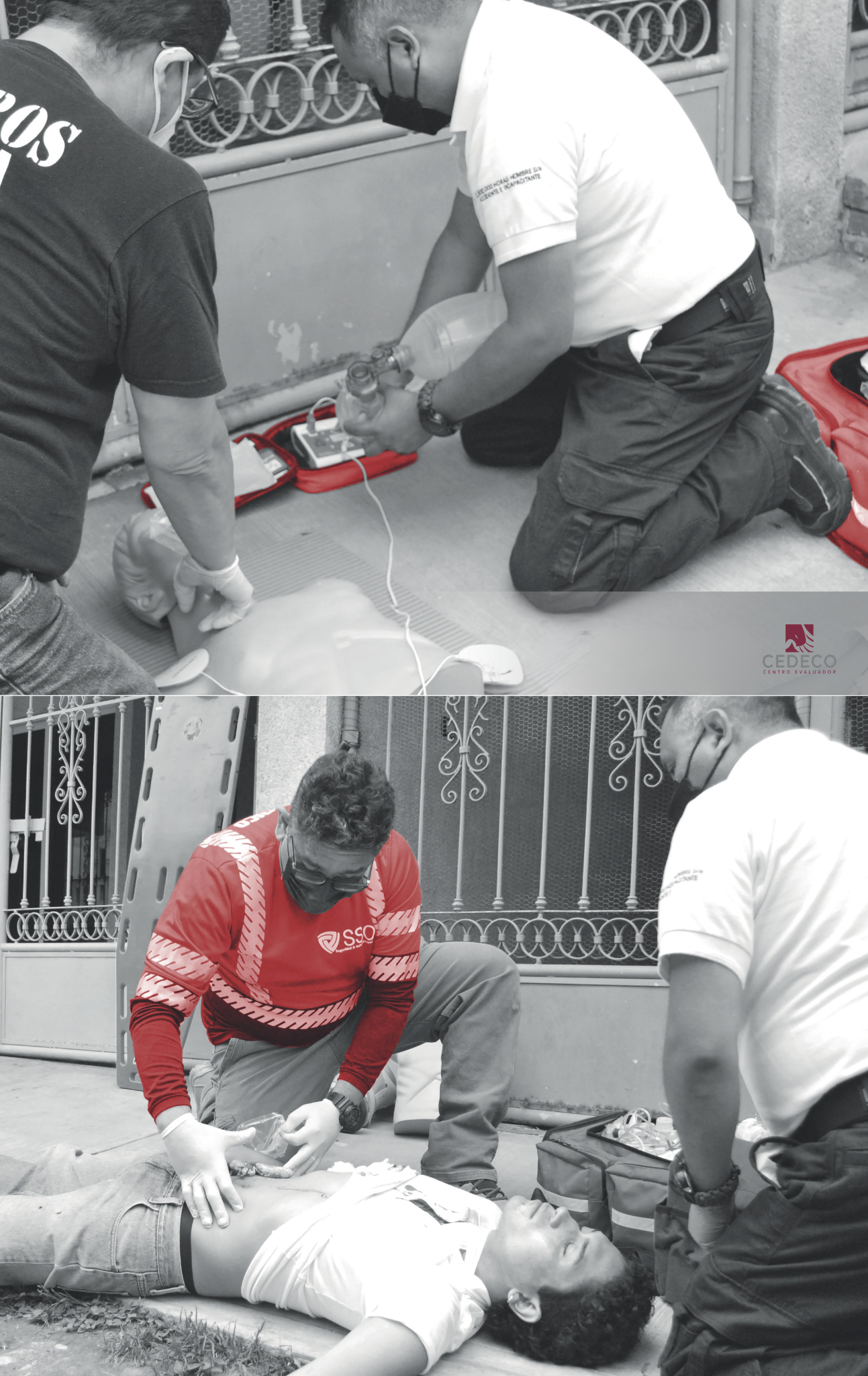 Capacitación especializada